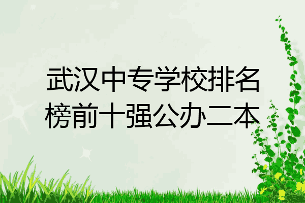 武汉中专学校排名榜前十强公办二本