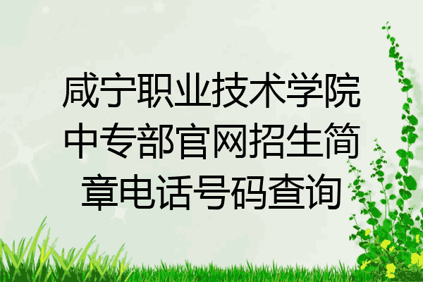 咸宁职业技术学院中专部官网招生简章电话号码查询