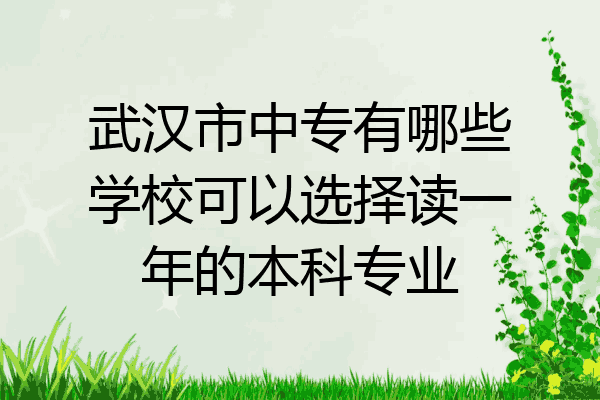 武汉市中专有哪些学校可以选择读一年的本科专业