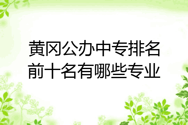 黄冈公办中专排名前十名有哪些专业