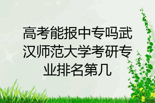 高考能报中专吗武汉师范大学考研专业排名第几