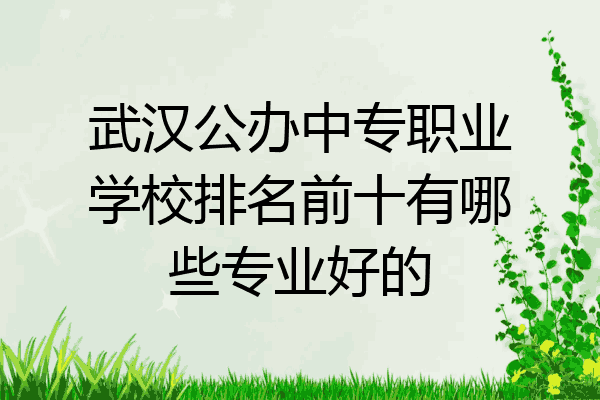 武汉公办中专职业学校排名前十有哪些专业好的