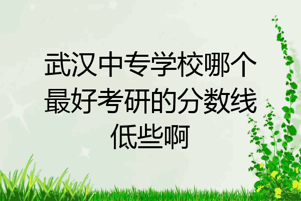 武汉中专学校哪个最好考研的分数线低些啊