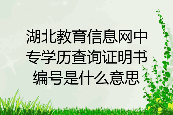 湖北教育信息网中专学历查询证明书编号是什么意思