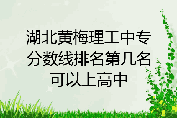 湖北黄梅理工中专分数线排名第几名可以上高中