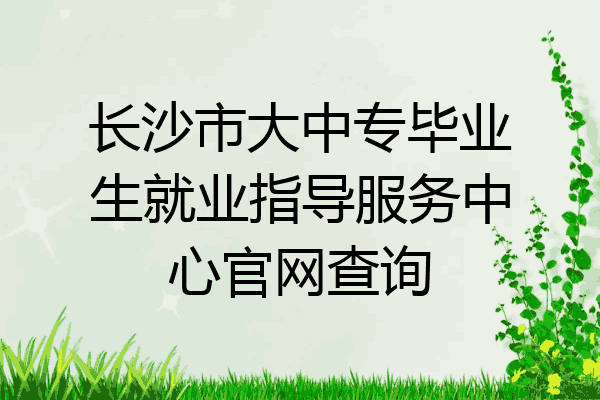 长沙市大中专毕业生就业指导服务中心官网查询