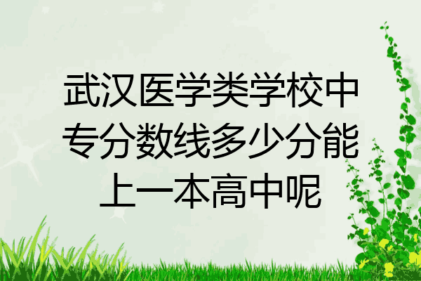 武汉医学类学校中专分数线多少分能上一本高中呢