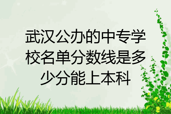 武汉公办的中专学校名单分数线是多少分能上本科