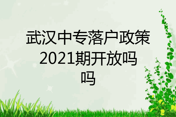 武汉中专落户政策2021期开放吗吗