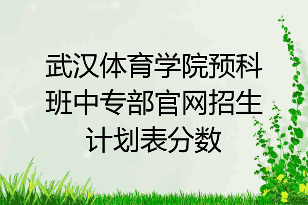 武汉体育学院预科班中专部官网招生计划表分数