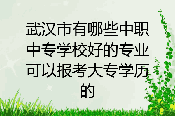武汉市有哪些中职中专学校好的专业可以报考大专学历的