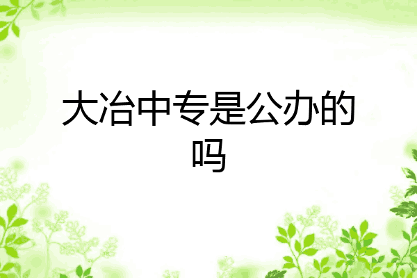 大冶中专是公办的吗