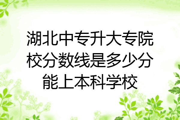湖北中专升大专院校分数线是多少分能上本科学校