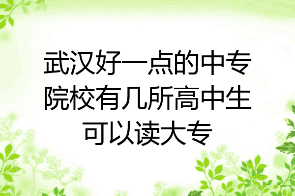 武汉好一点的中专院校有几所高中生可以读大专