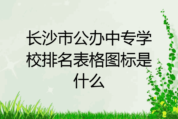 长沙市公办中专学校排名表格图标是什么