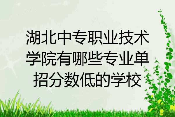 湖北中专职业技术学院有哪些专业单招分数低的学校