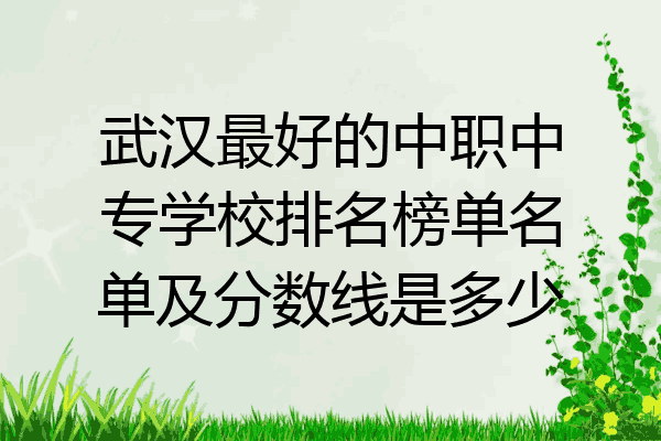 武汉最好的中职中专学校排名榜单名单及分数线是多少