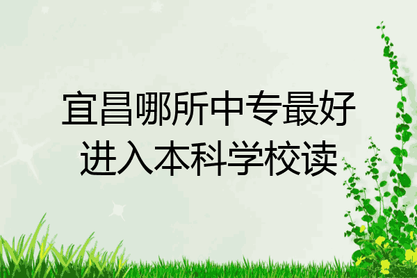 宜昌哪所中专最好进入本科学校读