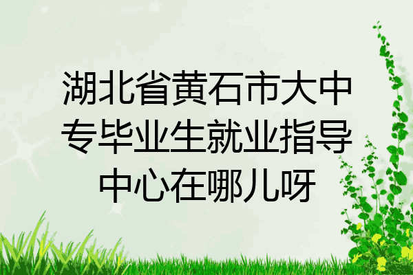 湖北省黄石市大中专毕业生就业指导中心在哪儿呀