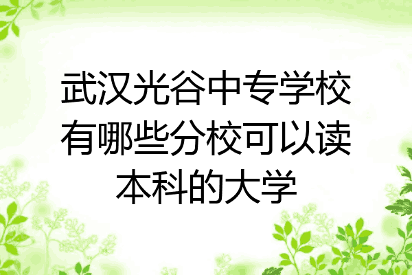 武汉光谷中专学校有哪些分校可以读本科的大学