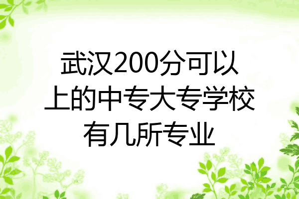 武汉200分可以上的中专大专学校有几所专业