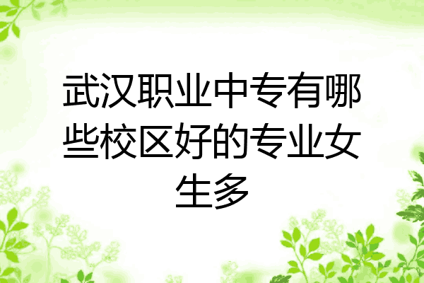 武汉职业中专有哪些校区好的专业女生多