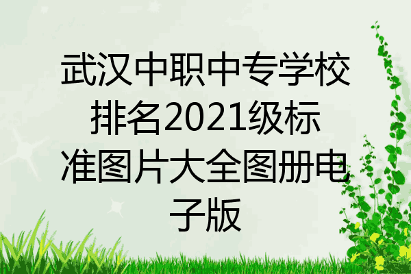武汉中职中专学校排名2021级标准图片大全图册电子版