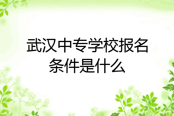 武汉中专学校报名条件是什么