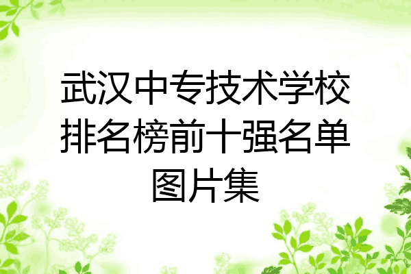 武汉中专技术学校排名榜前十强名单图片集