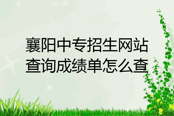 襄阳中专招生网站查询成绩单怎么查