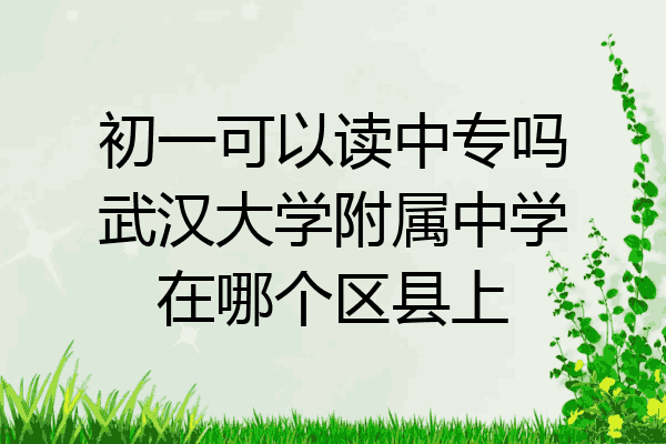 初一可以读中专吗武汉大学附属中学在哪个区县上