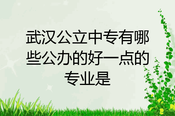 武汉公立中专有哪些公办的好一点的专业是