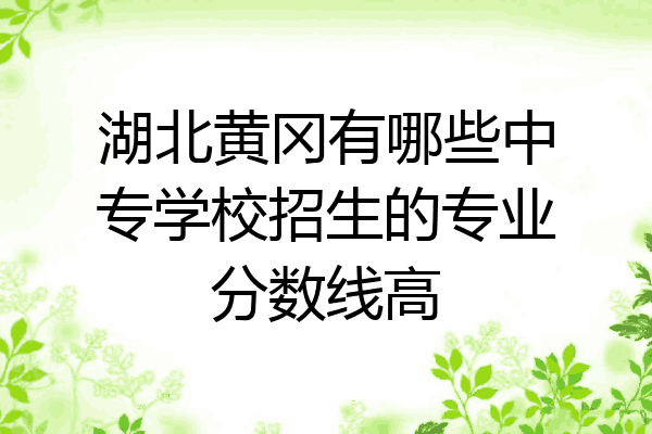 湖北黄冈有哪些中专学校招生的专业分数线高