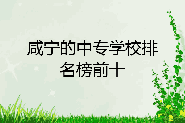 咸宁的中专学校排名榜前十