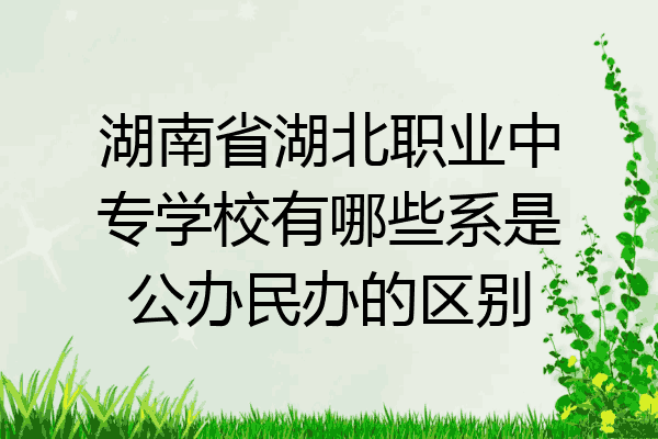 湖南省湖北职业中专学校有哪些系是公办民办的区别