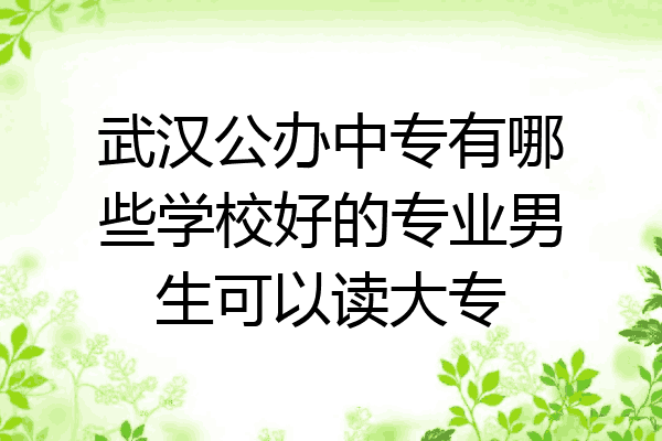 武汉公办中专有哪些学校好的专业男生可以读大专