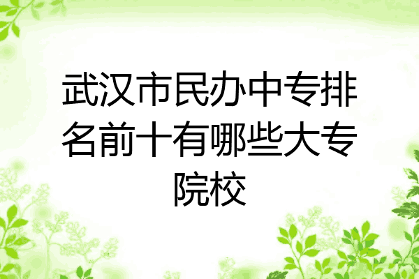 武汉市民办中专排名前十有哪些大专院校