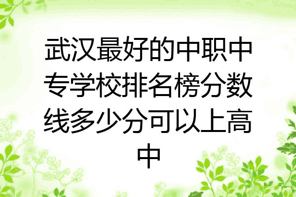 武汉最好的中职中专学校排名榜分数线多少分可以上高中