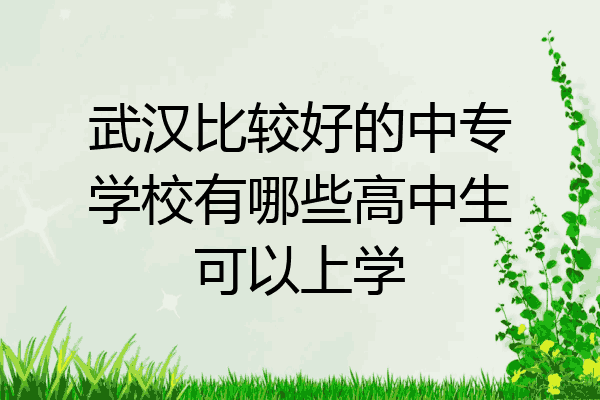 武汉比较好的中专学校有哪些高中生可以上学