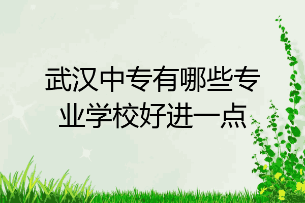 武汉中专有哪些专业学校好进一点