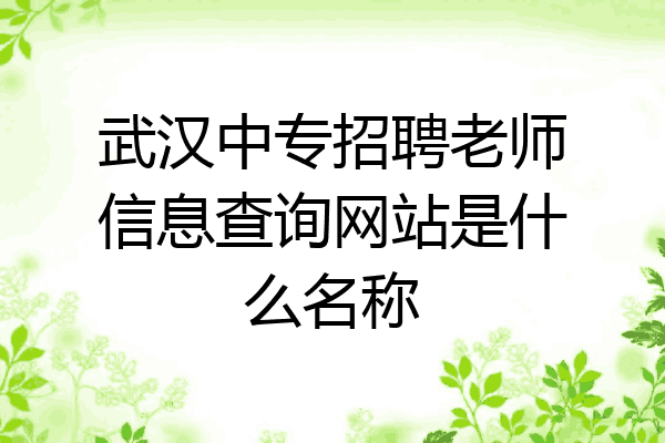 武汉中专招聘老师信息查询网站是什么名称