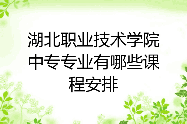 湖北职业技术学院中专专业有哪些课程安排