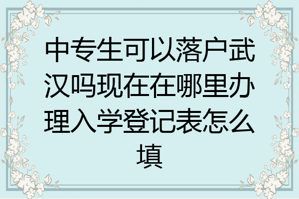 中专生可以落户武汉吗现在在哪里办理入学登记表怎么填