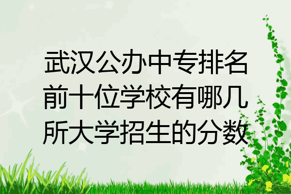武汉公办中专排名前十位学校有哪几所大学招生的分数