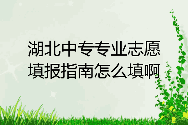 湖北中专专业志愿填报指南怎么填啊