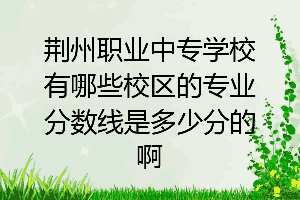 荆州职业中专学校有哪些校区的专业分数线是多少分的啊