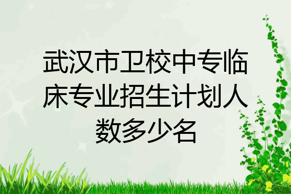 武汉市卫校中专临床专业招生计划人数多少名