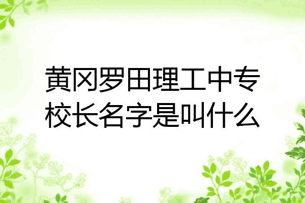 黄冈罗田理工中专校长名字是叫什么