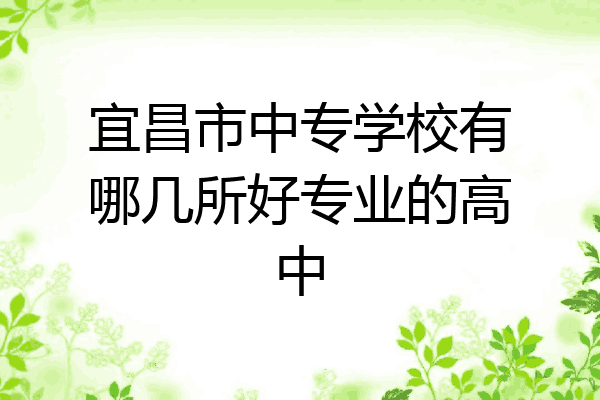 宜昌市中专学校有哪几所好专业的高中