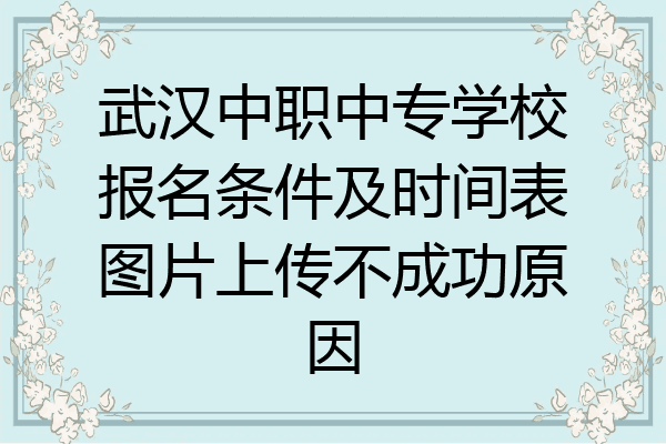 武汉中职中专学校报名条件及时间表图片上传不成功原因